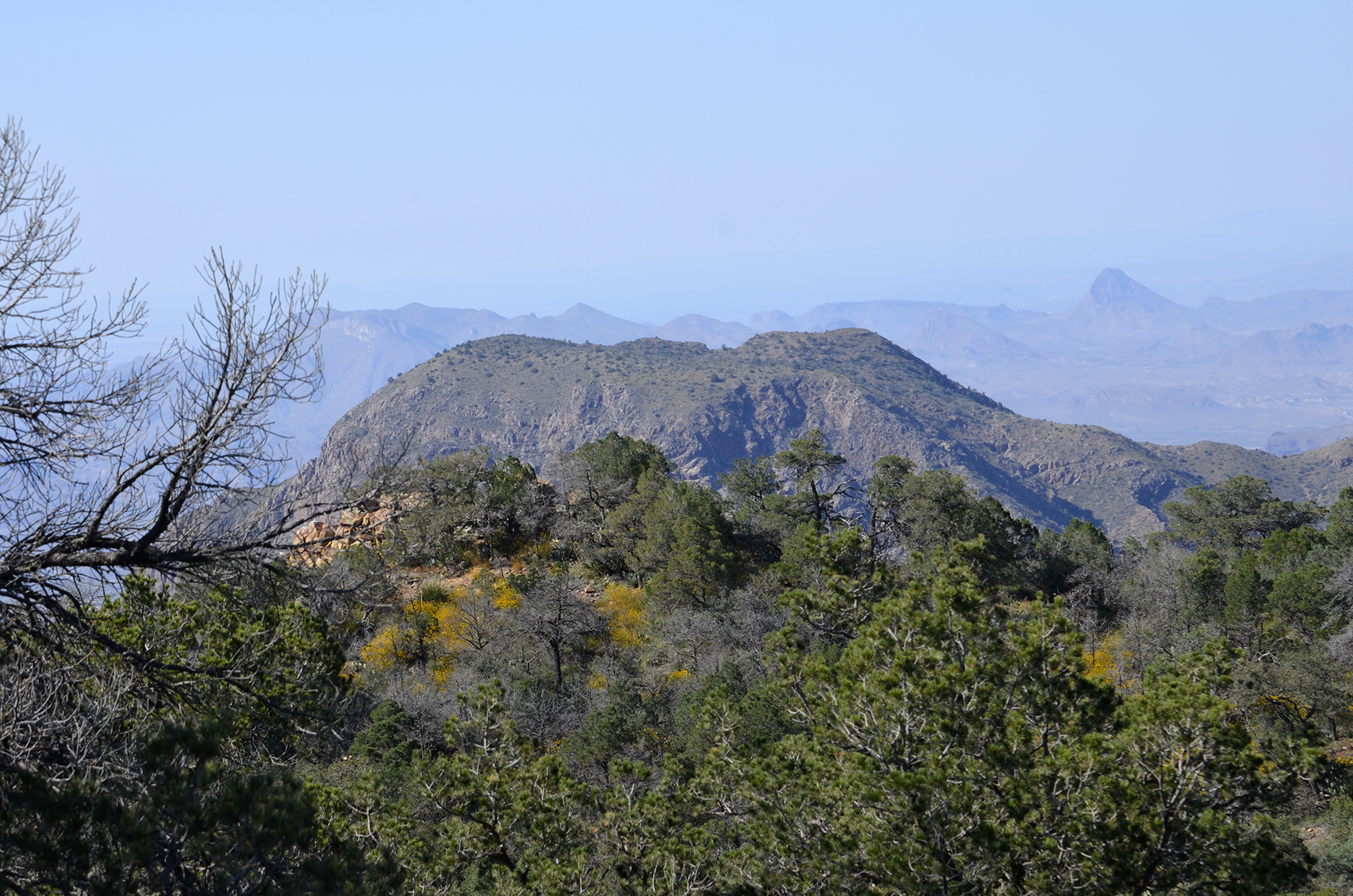 Big Bend National Park