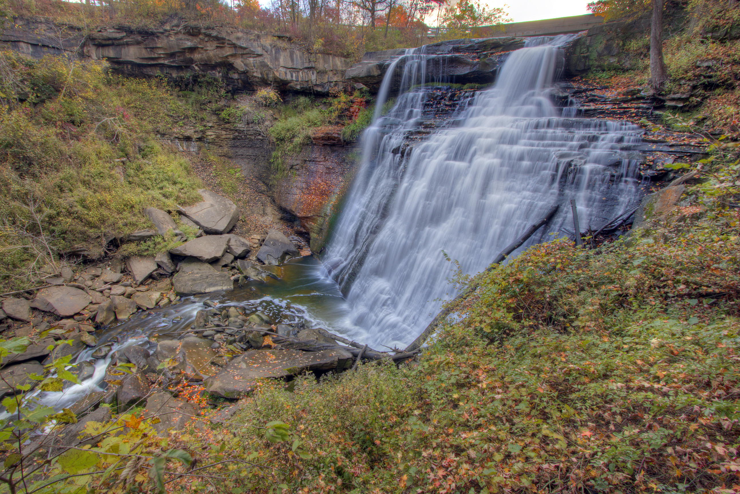 A white frothy waterfall cascades down a tall outcrop of dark shale at the end of a concave gorge with green and orange plants surrounding the water.