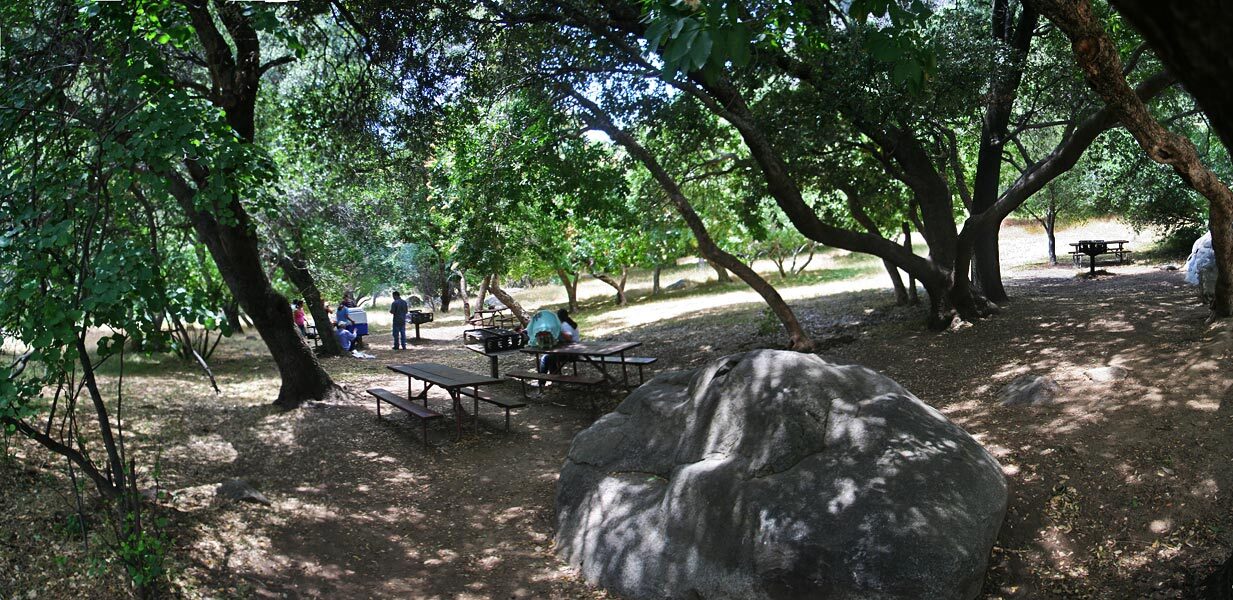 Picnic tables are shaded by dense trees. A boulder sits half buried in the ground.