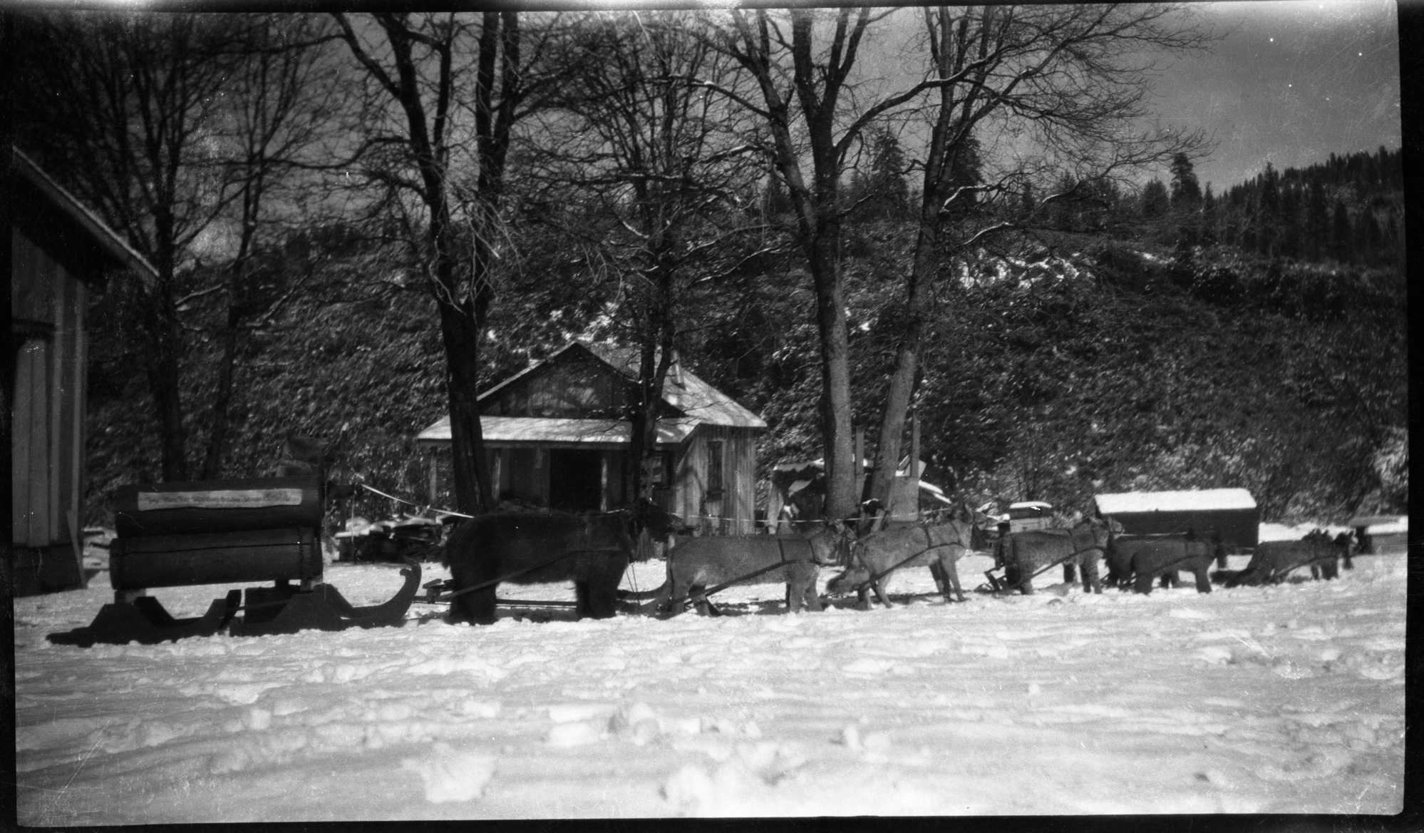 SEKI Roberts Collection Series: 2 Negatives; 9 Other