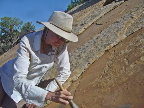 a woman uses a brush to reveal tracks in the side of a cliff. 
