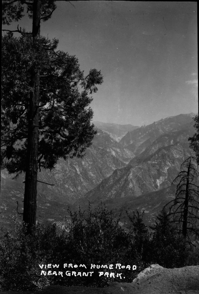 SEKI Roberts Collection Series: 2 Negatives; 12 Scenics
