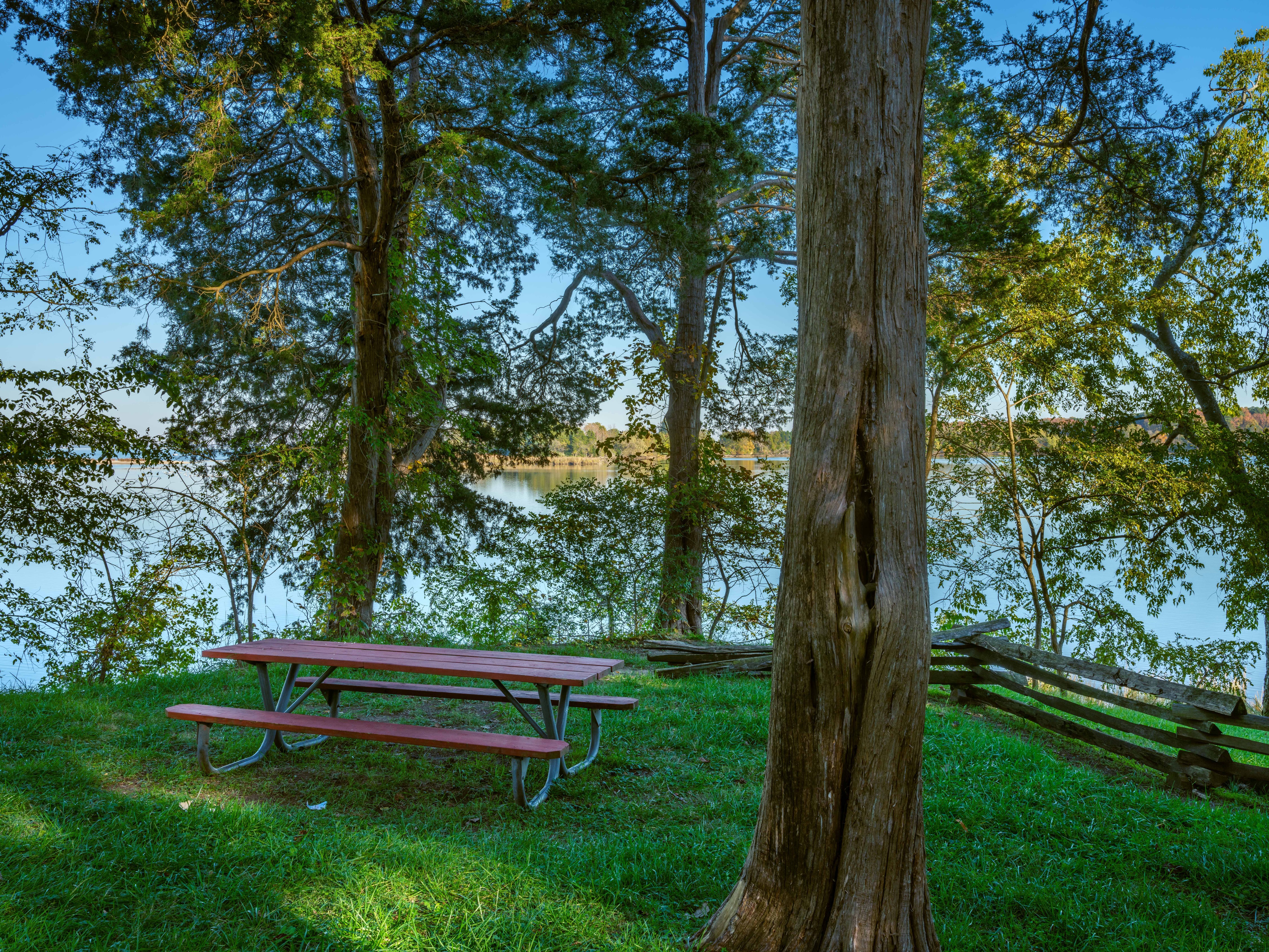 Picnic Area Photos