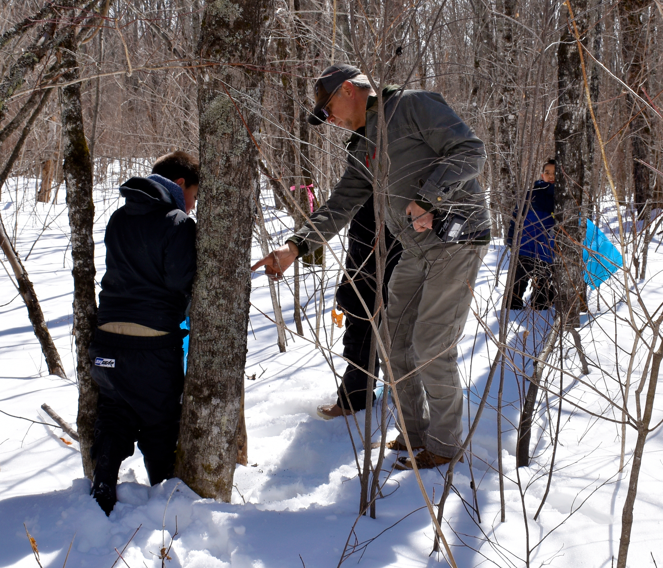 An adult wearing grey clothing and a ball cap Shows a spot on a tree trunk to a child in dark clothing. Another child in the background looks on.