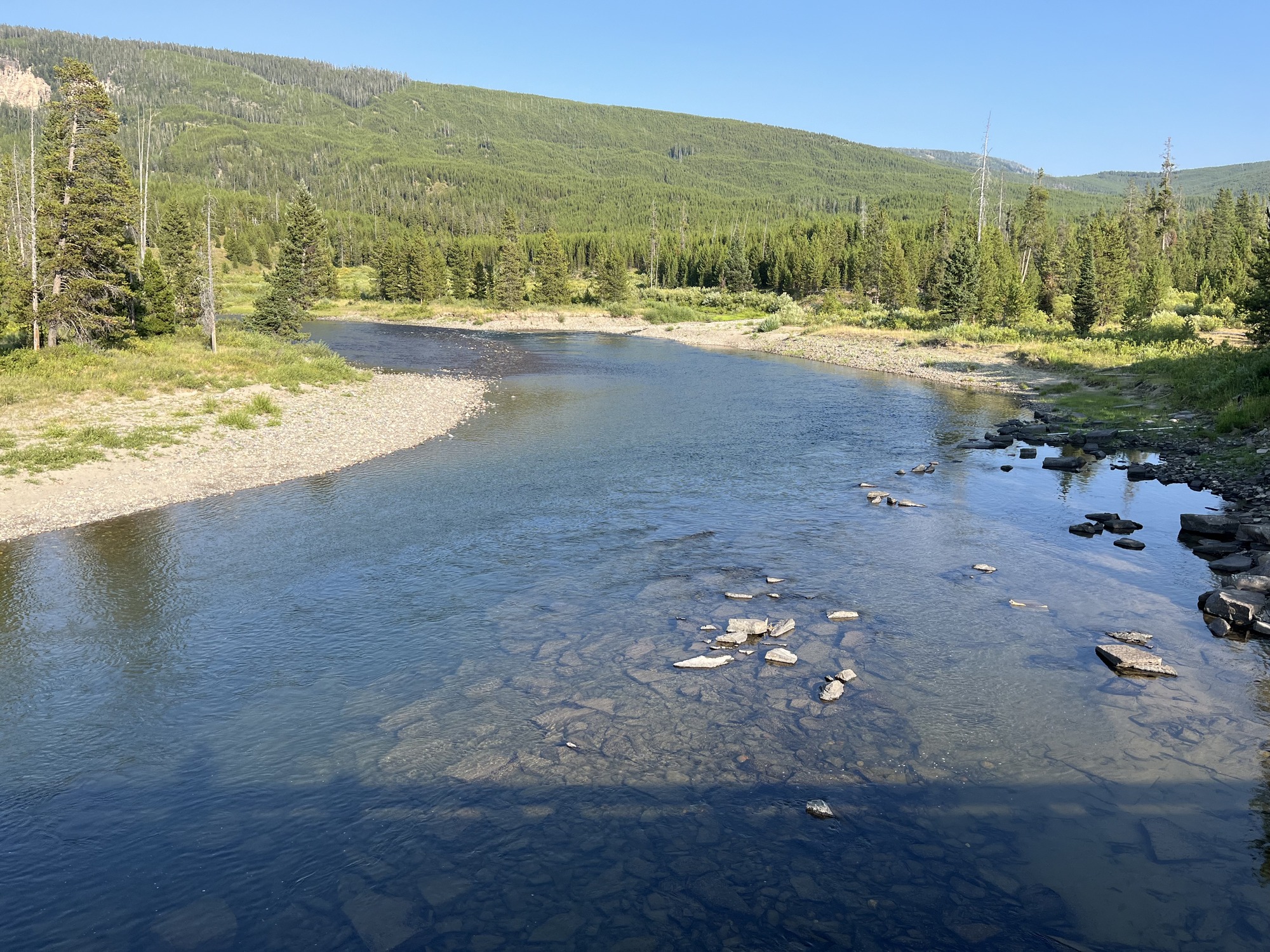 Snake River at Flagg Ranch, WY looking upstream, August 11, 2024. 