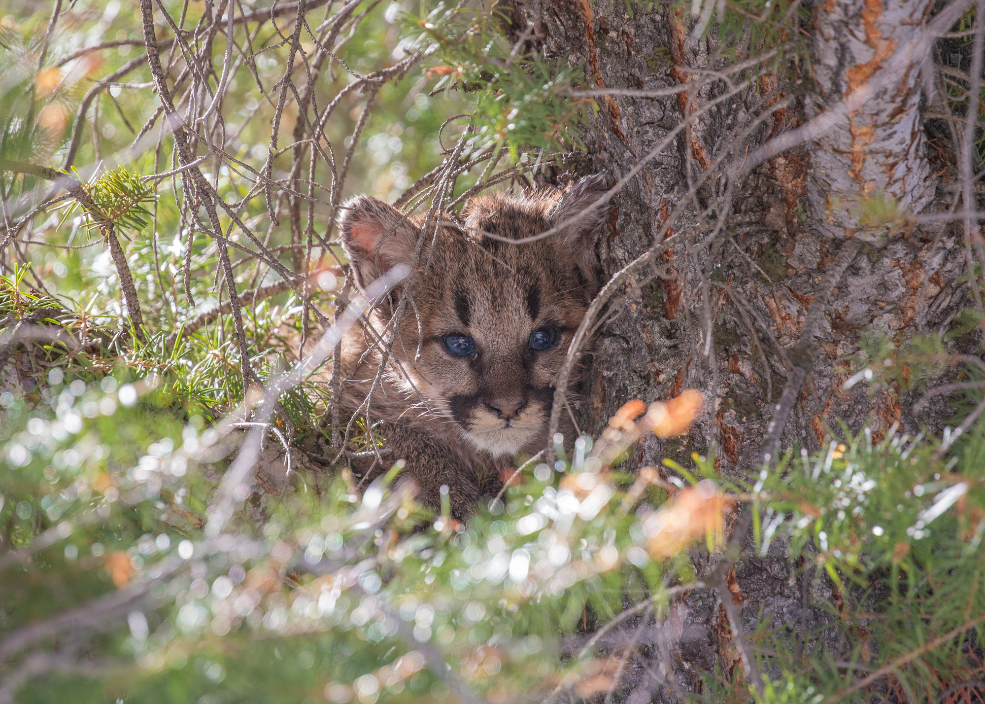 Photo (U.S. National Park Service)