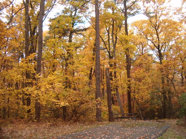 Greenbelt Park