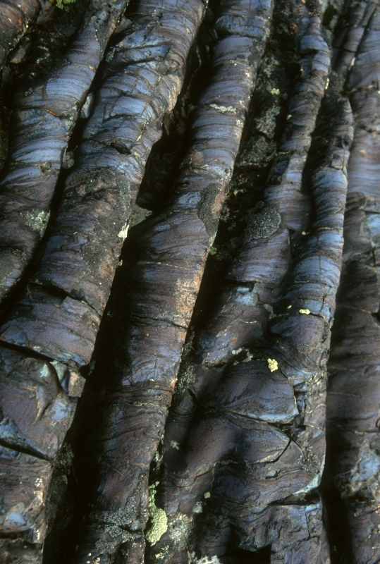 wavy folds of gray lava rock with blue streaks of colof