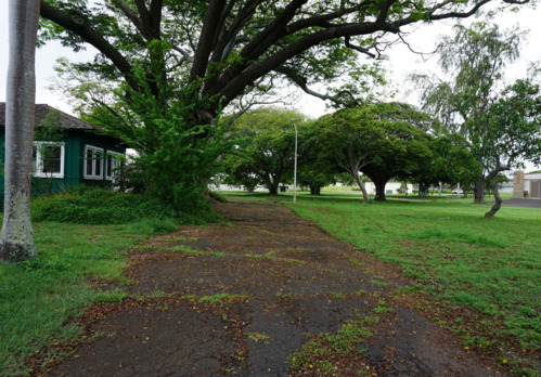 Leafy canopies of scattered trees and short, bright turf line a cracked, paved walkway, looking toward a street. 