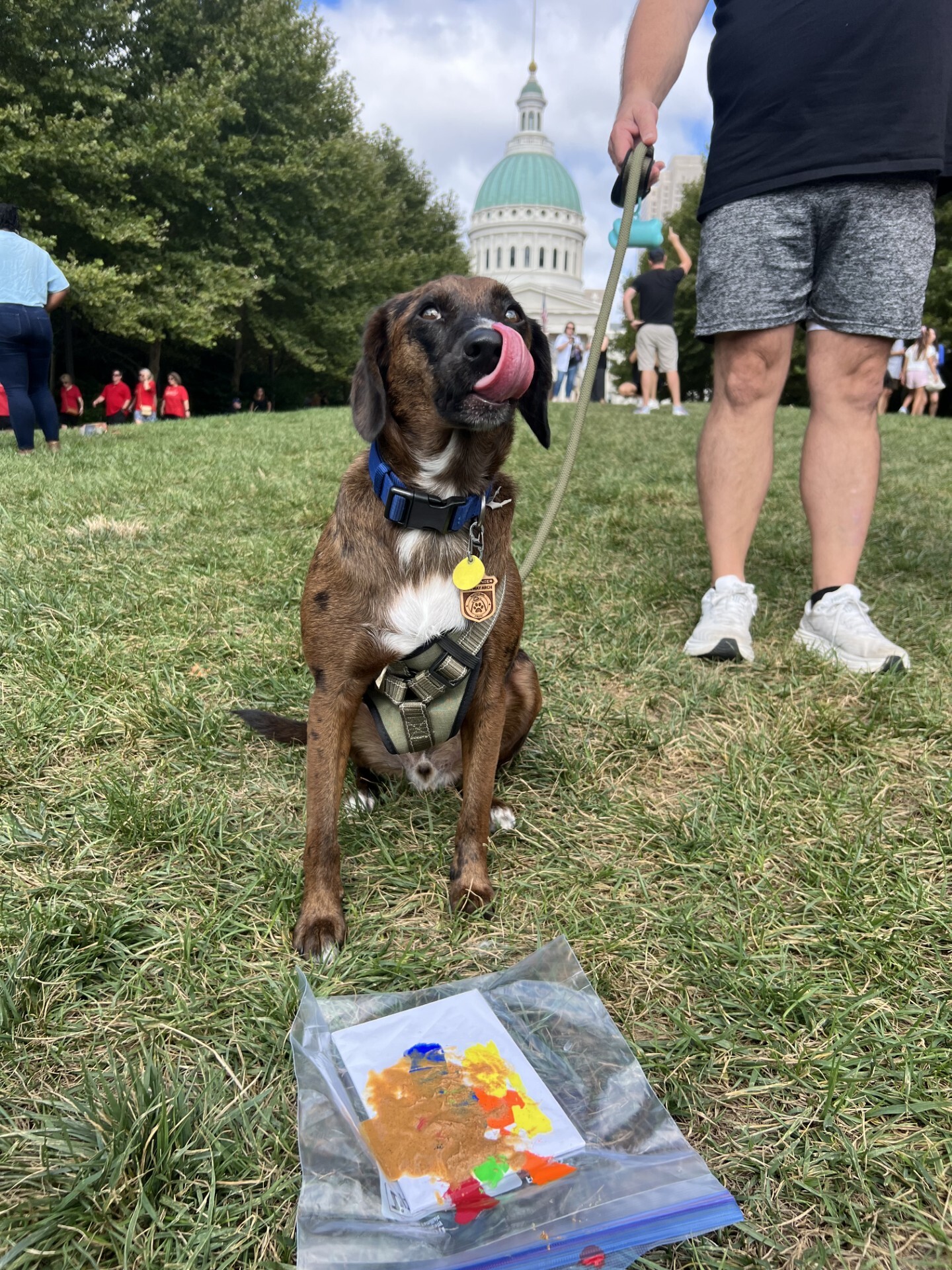 B.A.R.K. Ranger Events - Gateway Arch National Park