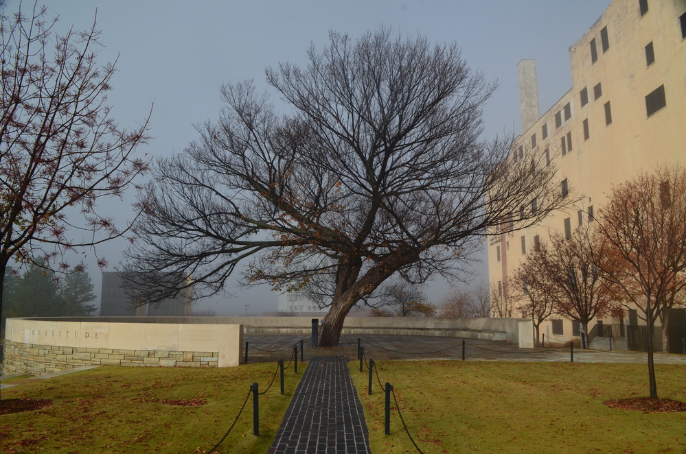 Survivor Tree at the Oklahoma City National Memorial damaged in ice storm