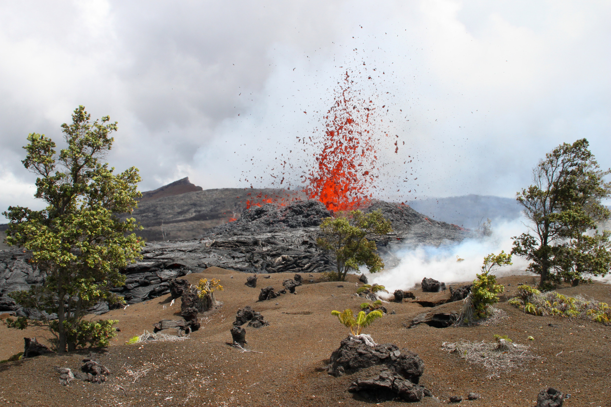 Molten lava spattering up in front of trees with a lava shield in the back