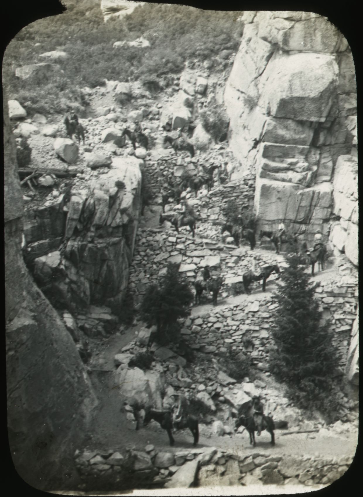 SEKI Roberts Collection Series: 1 Glass Plates; 1 Small glass plates; 14 Sites and Structures