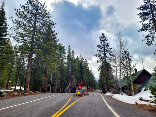 A phot of a small entrance booth between two paved roads amid conifer trees.