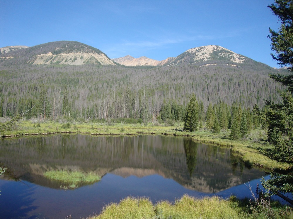 Beaver Pond