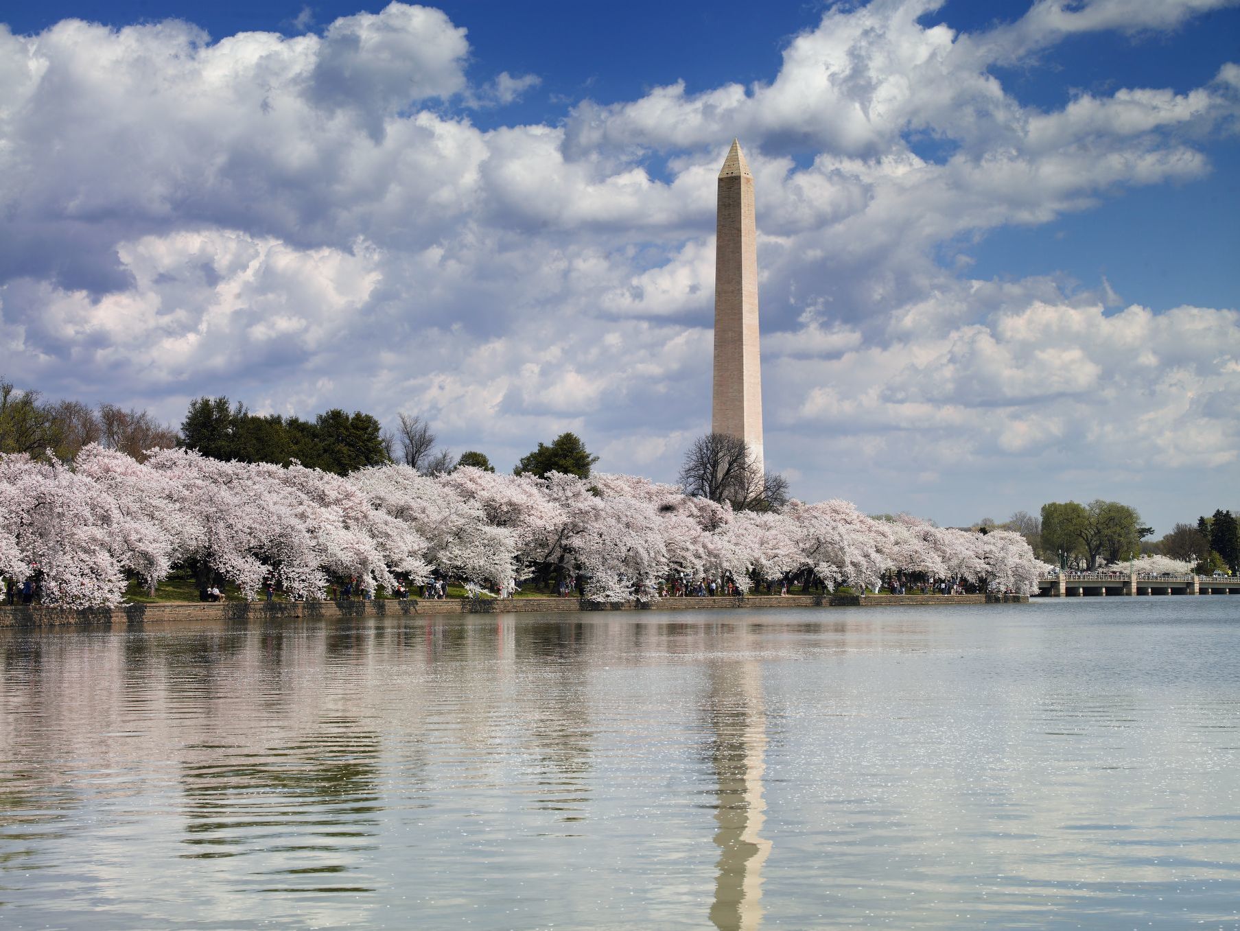 info on the washington monument