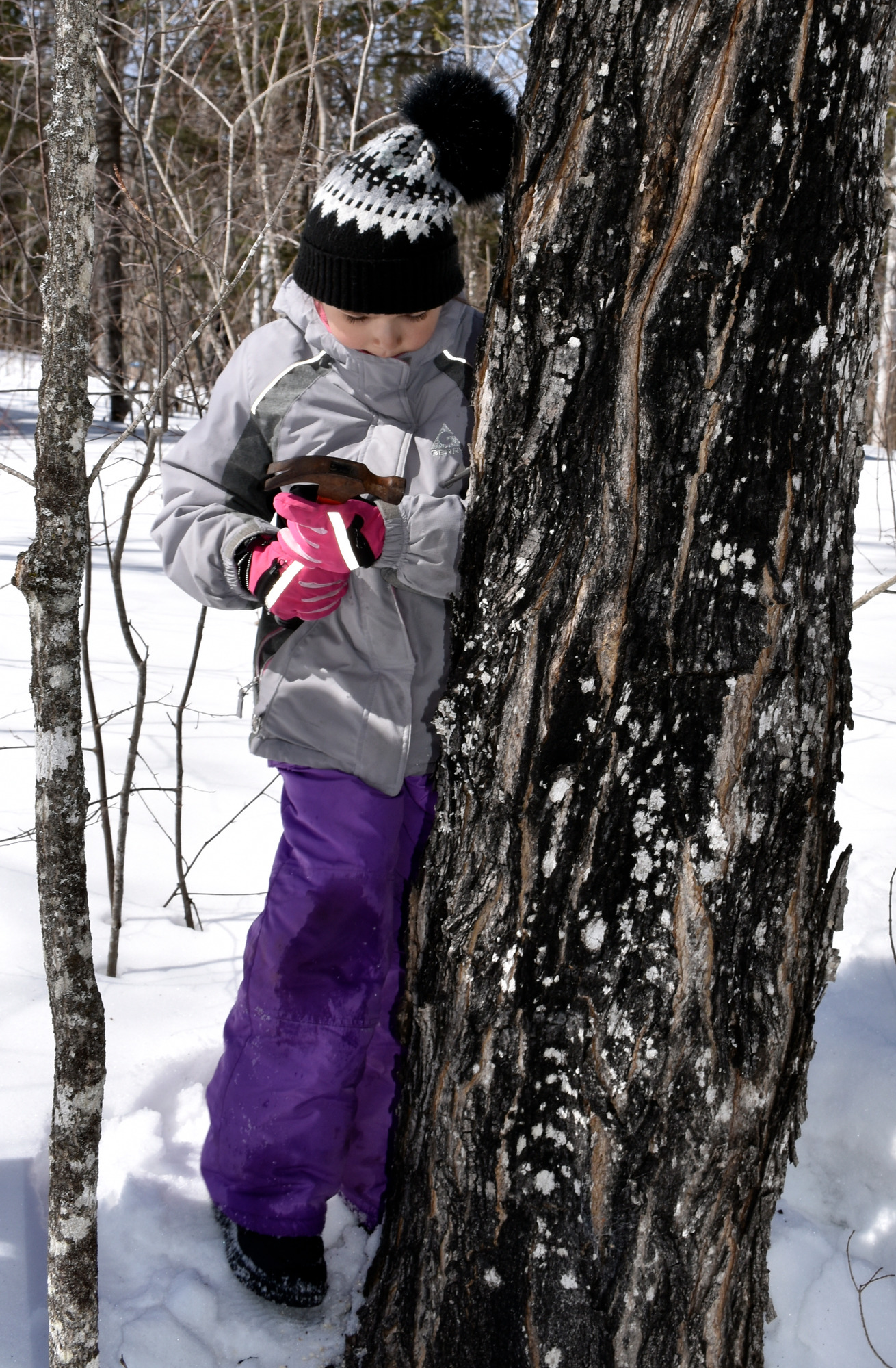 A child, wearing a gray jacket and black and white hat, holds a hammer with both hands and aims toward a metal tap projecting from a tree trunk.