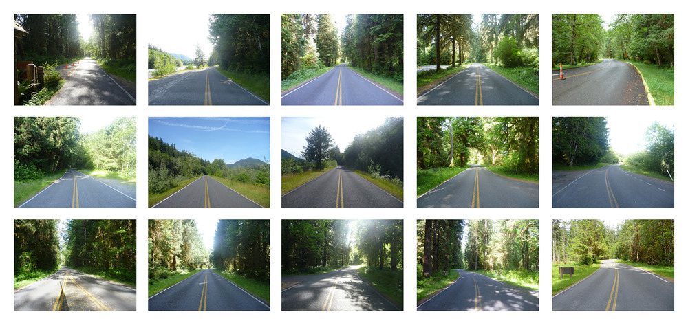 Hoh Developed Area in Olympic National Park