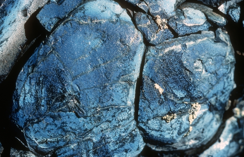 a closeup of a blue gray lava rock with a scaly surface