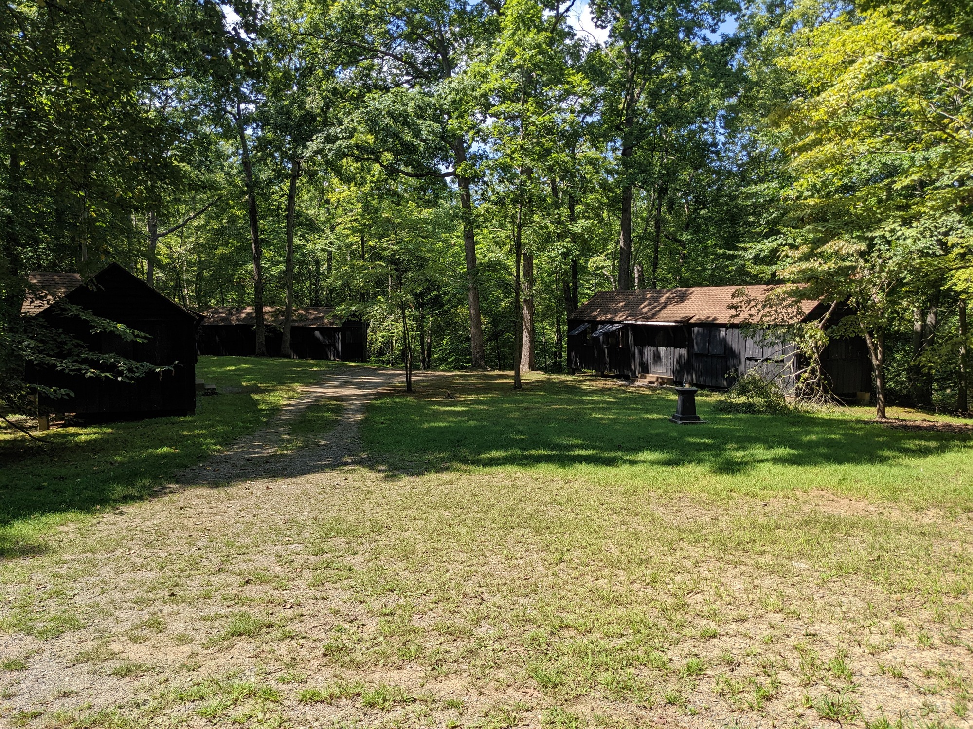Cabin Camp 4