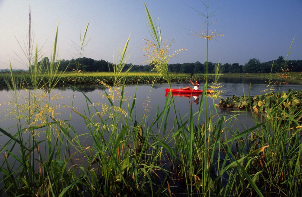 A kayaker paddles on still water surrounded by marsh grasses | Historic Sites In Maryland