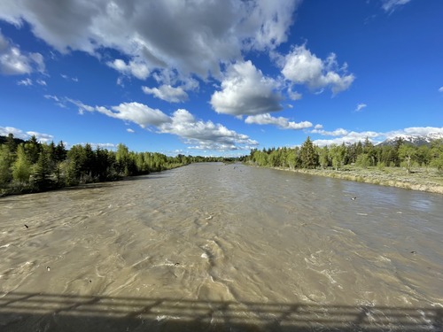 Snake River at Moose, WY looking downstream, June 5, 2024.