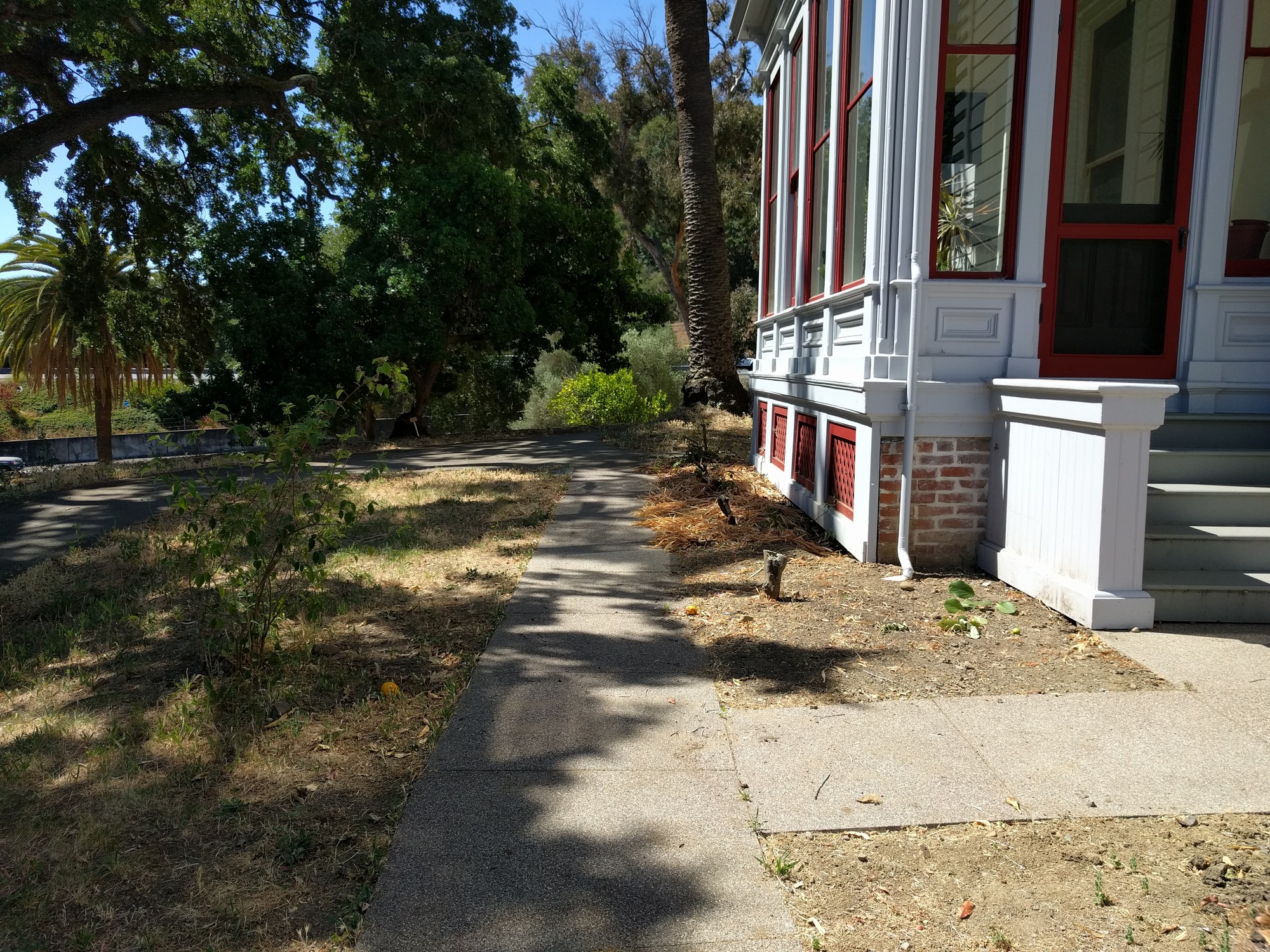 A sidewalk leads past a bare planting bed outside a house, partly shaded by trees. 