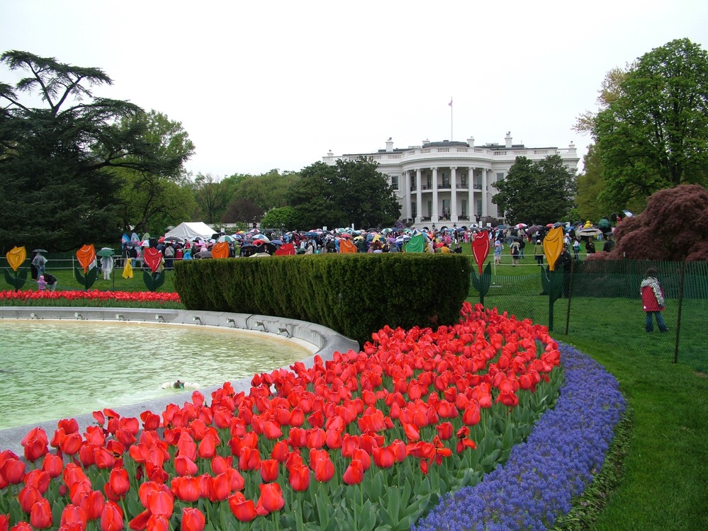 The South Lawn of the White House