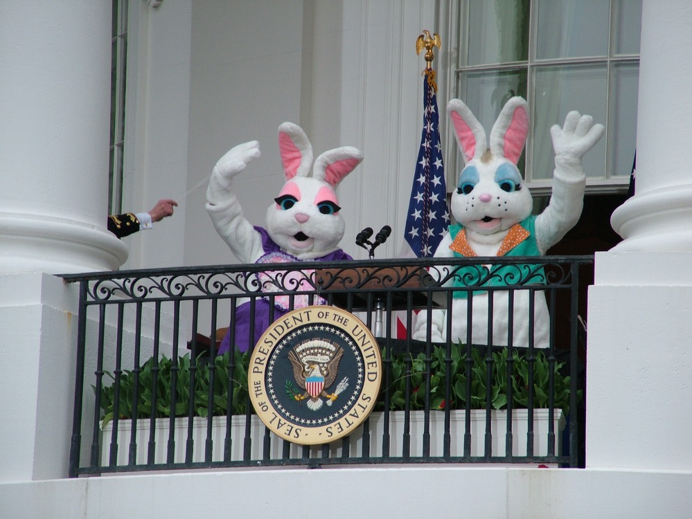 Official White House Bunnies waving at children and their families from the White House Truman Balcony