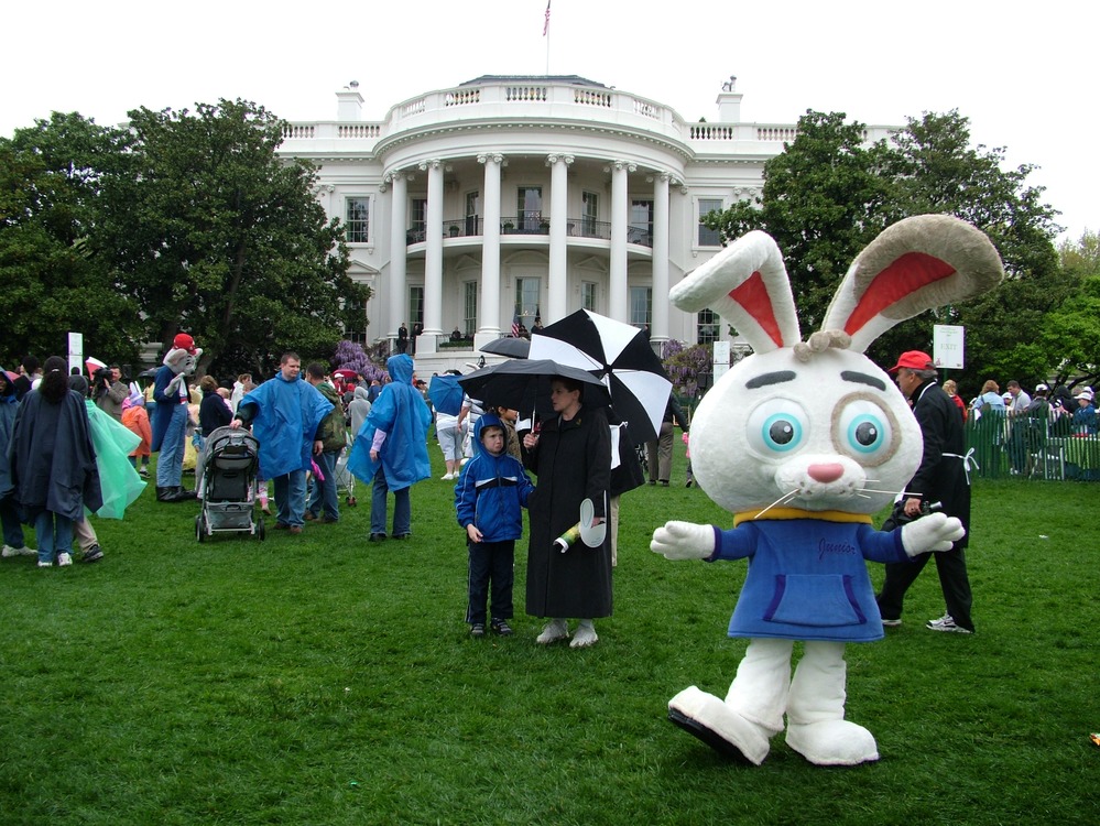A Strolling Character on the South Lawn of the White House