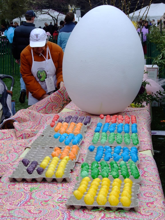 several dyed eggs 