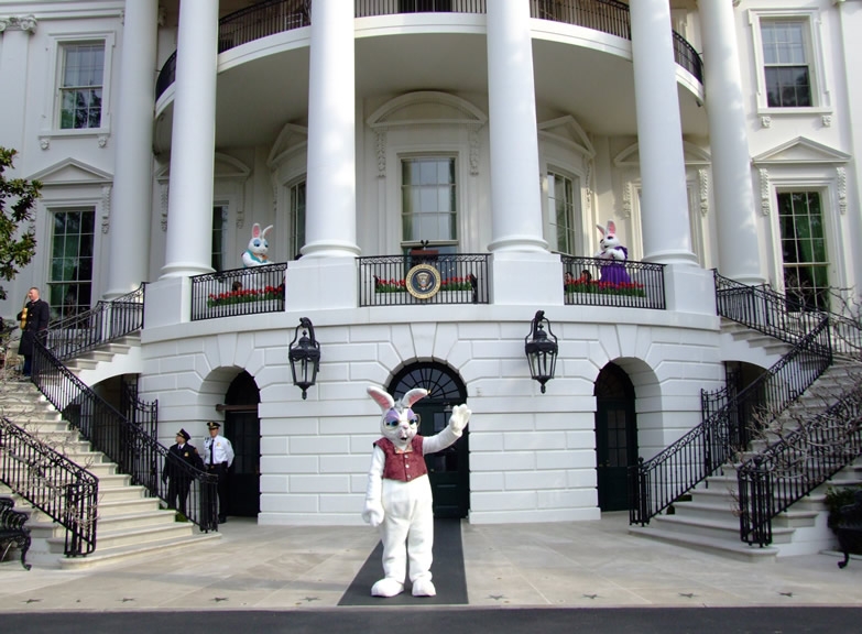 The White House Bunnies stand in front of the White House
