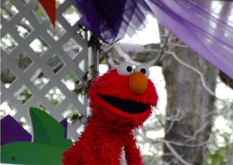Elmo from Sesame Street