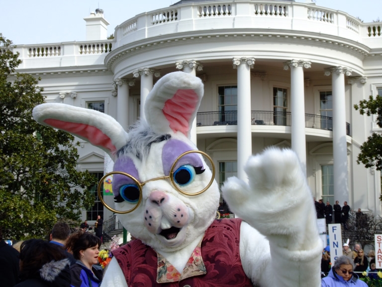 The official White House Bunny stands in front of the White House