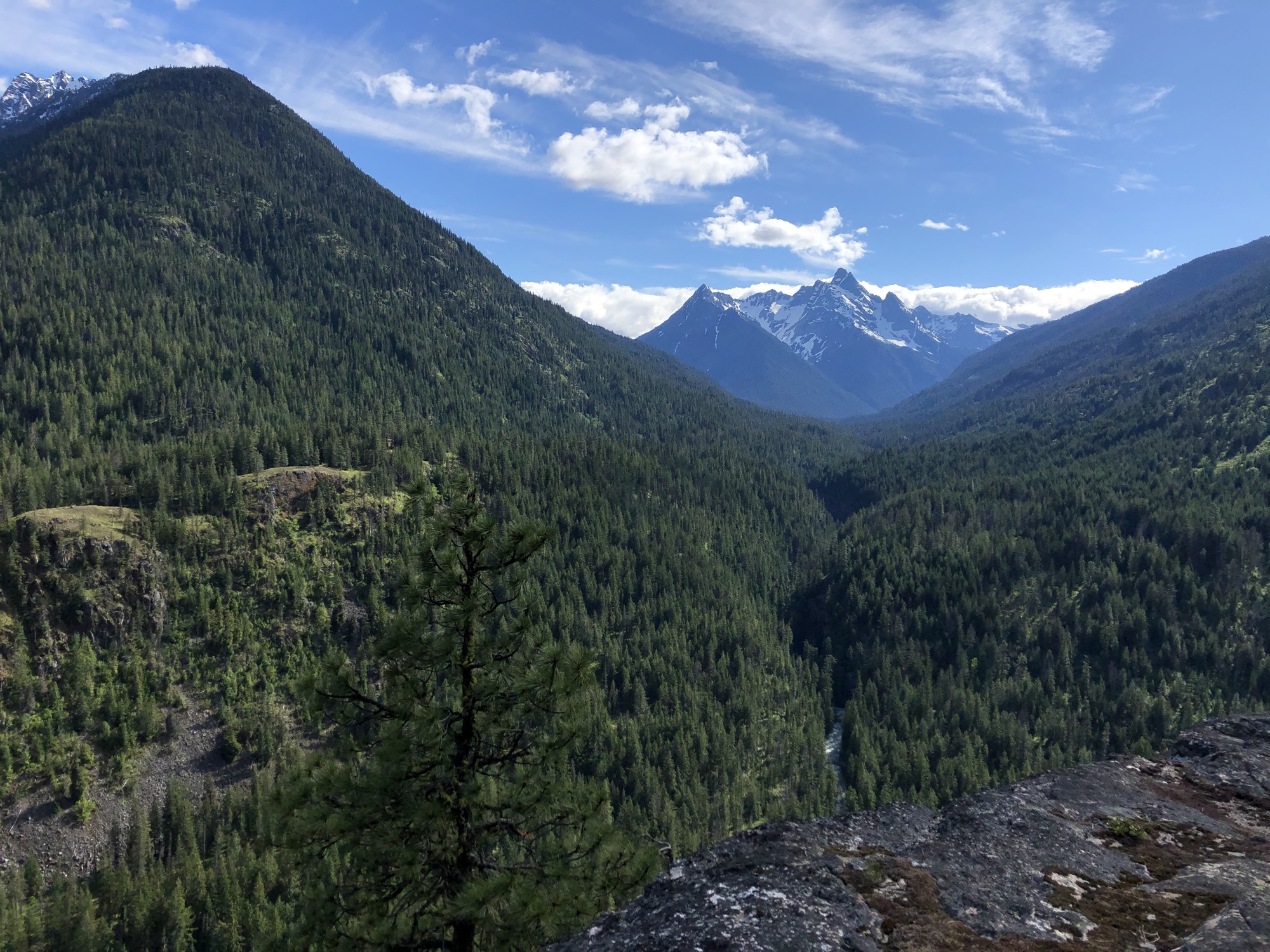 A view of a forested valley bounded by rounded hills on either sides and a rugged, snowy peak in the distance.