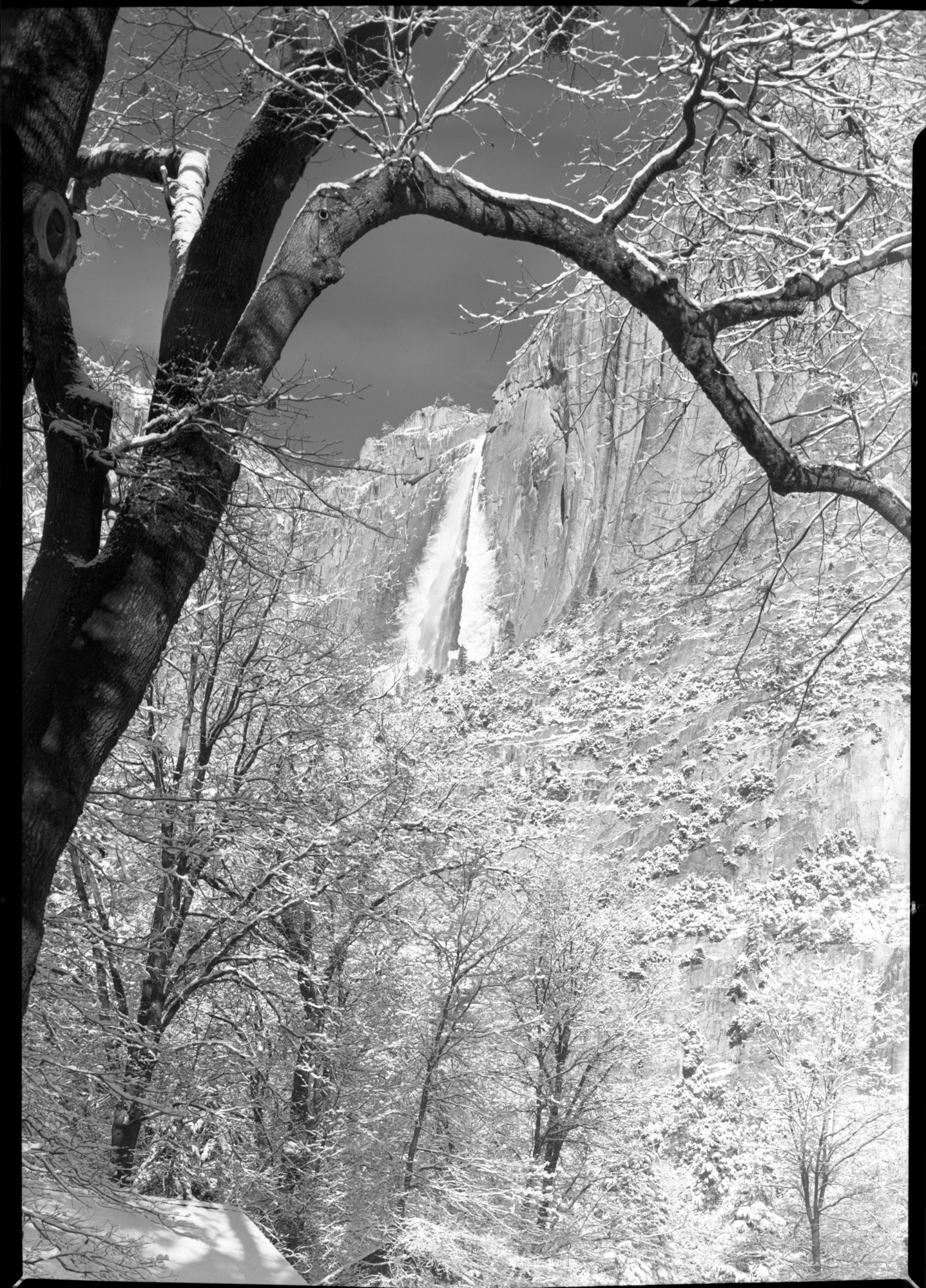 Yosemite Fall after first winter snowstorm.