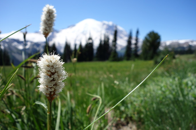 Photo Gallery (U.S. National Park Service)