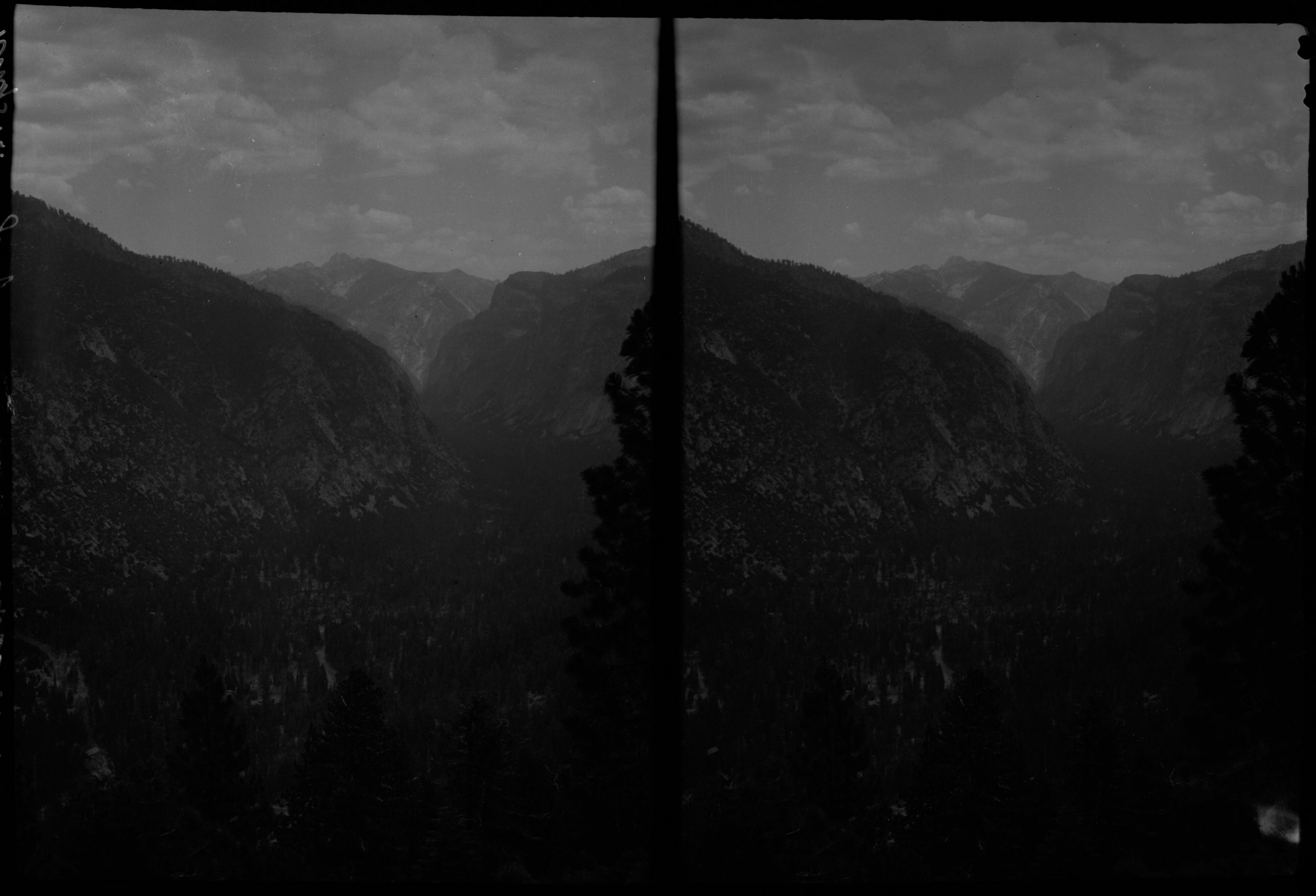 SEKI Roberts Collection Series: 2 Negatives; 15 Stereographs