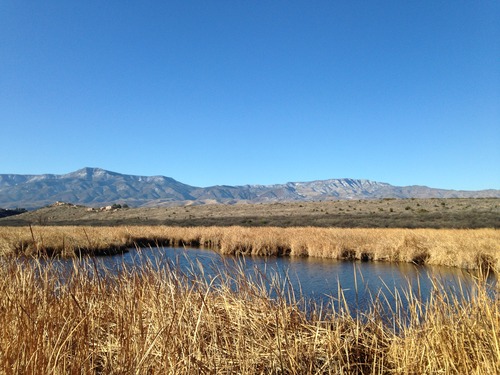 Photograph of Tuzigoot landscape. Brown grassy plains with some open water in the foreground, hills with pueblo structures in the middle distance, and mountains rising in the distance. Clear blue sky completes the scene. 