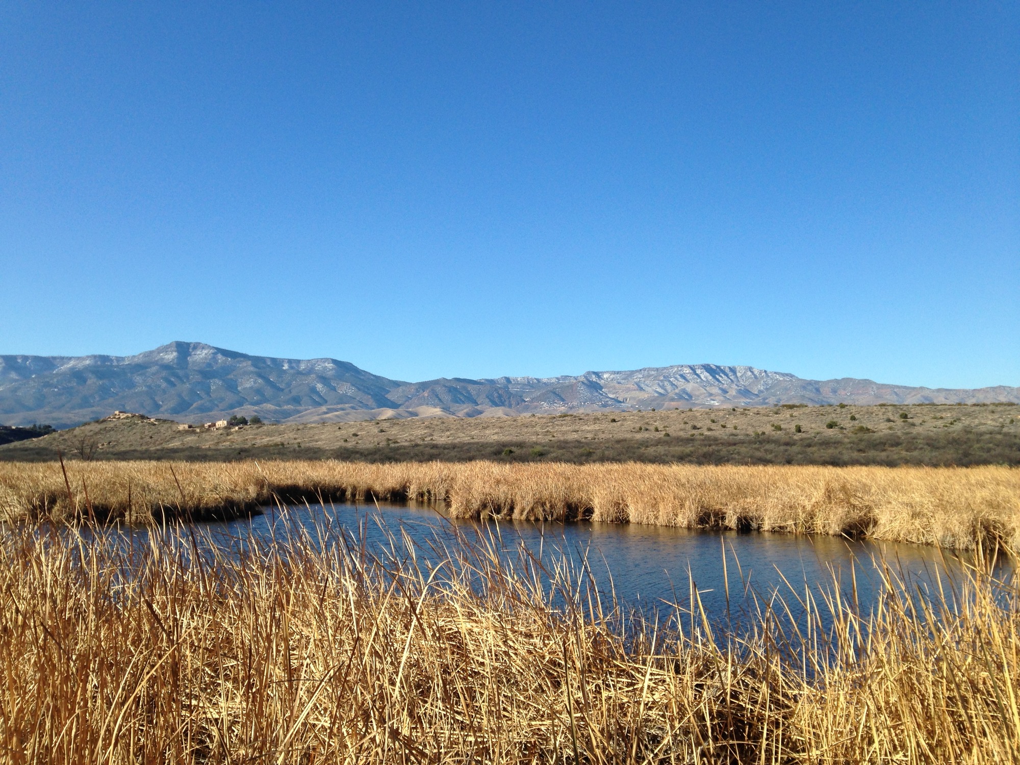 Photograph of Tuzigoot landscape. Brown grassy plains with some open water in the foreground, hills with pueblo structures in the middle distance, and mountains rising in the distance. Clear blue sky completes the scene. 