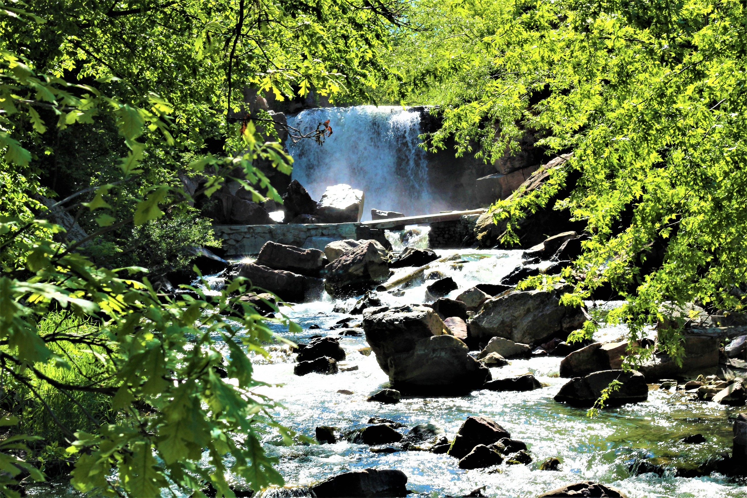 Waterfall framed by tree leaves