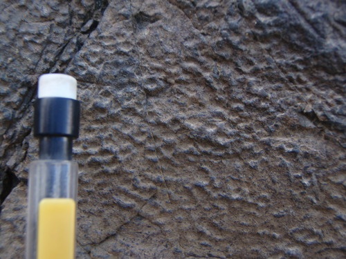 bumpy impressions in stone with a pencil eraser in the foreground. 