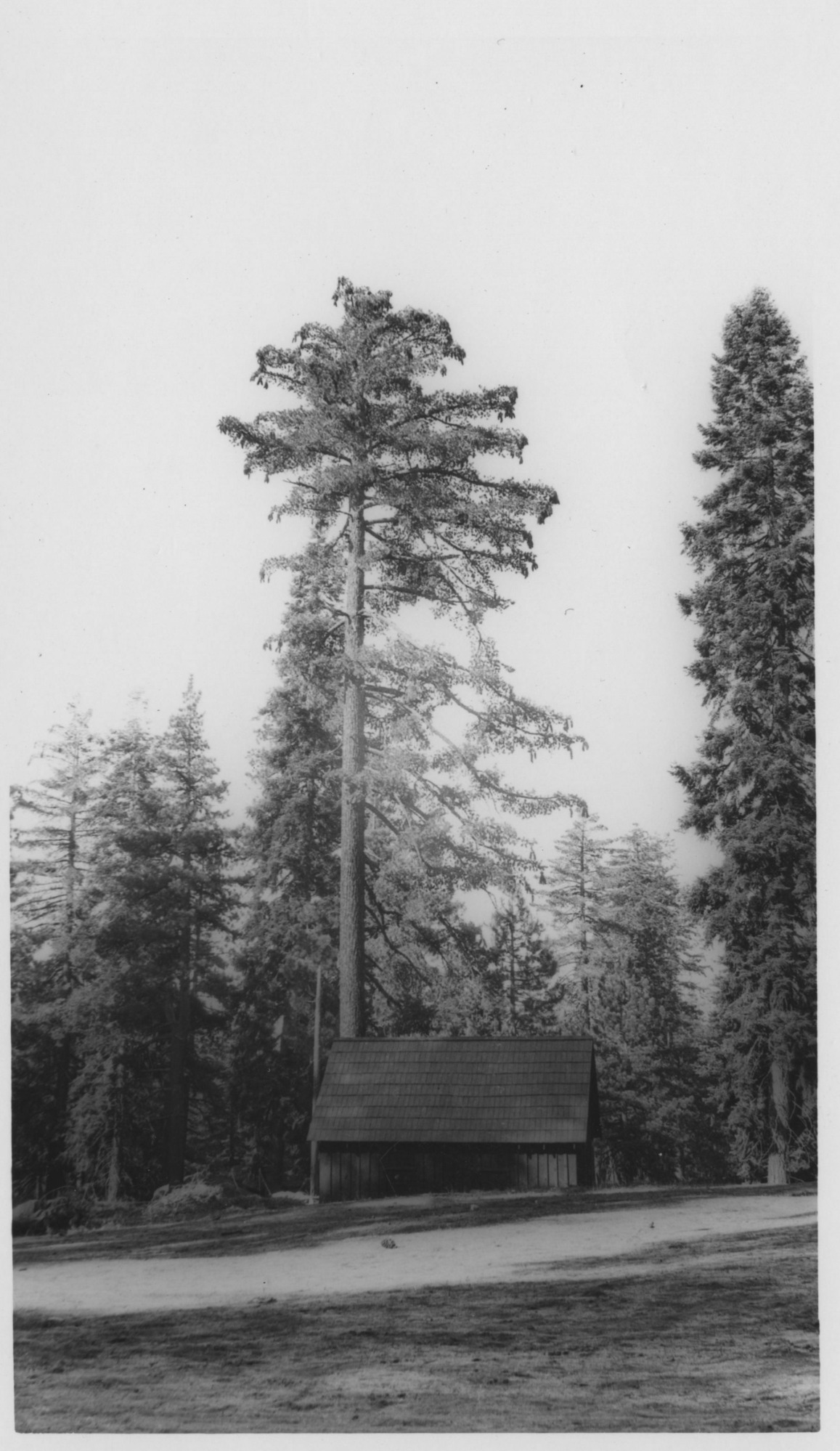 SEKI Roberts Collection Series: 3 Prints; 1 Small; 14 Sites and Structures