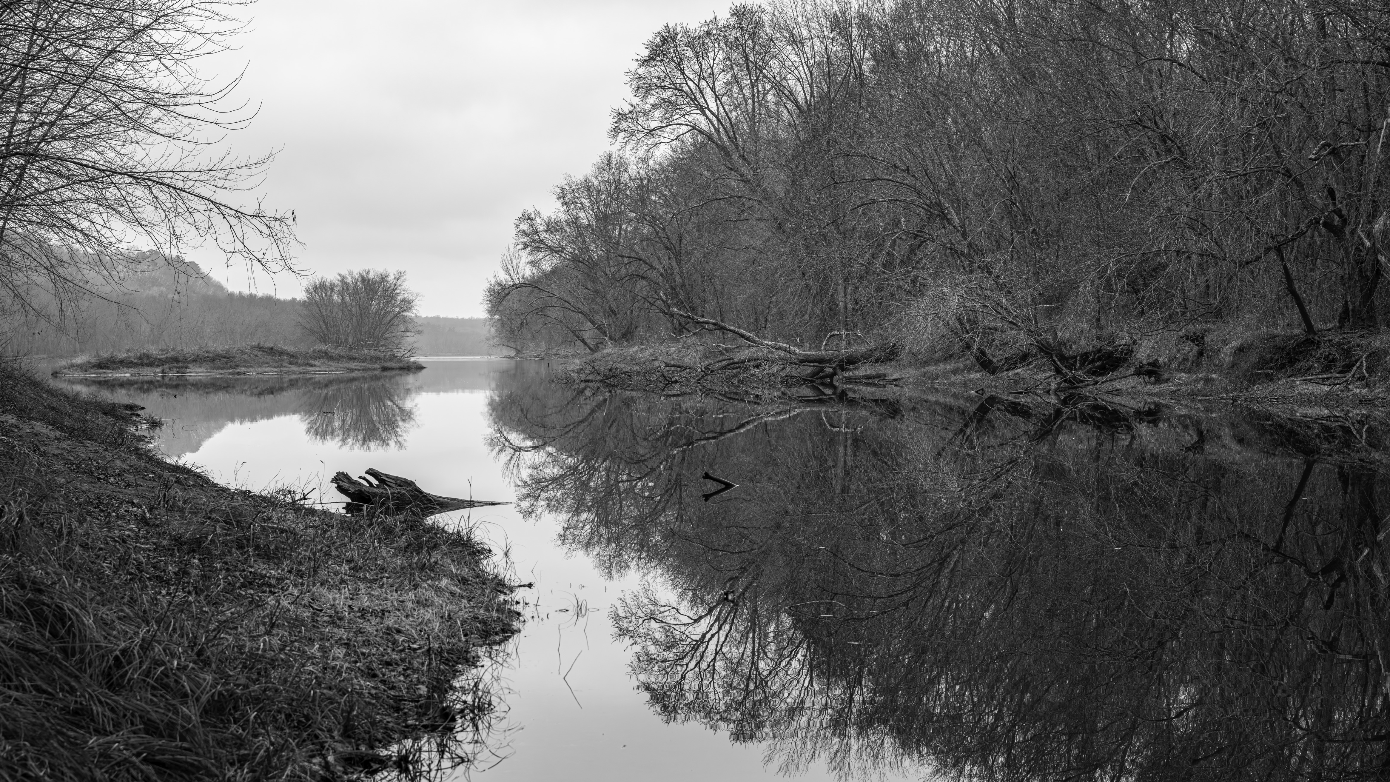 If read from right to left, one first encounters a wall of trees over a river. Moving to the left, it becomes evident that the water first seen is a tributary that feeds into a larger body of water that fades into the distance.