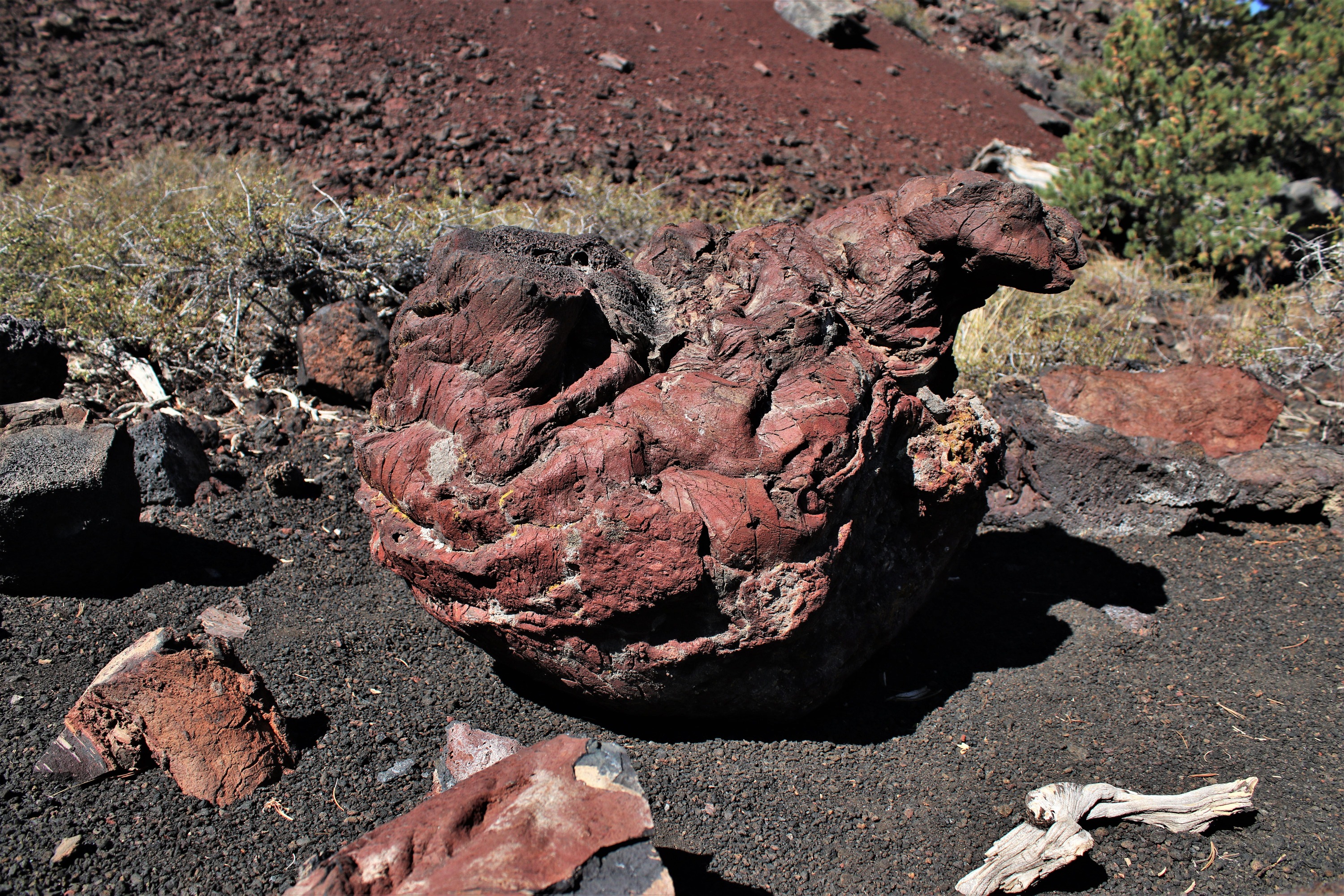 a rounded, reddish rock with a lumpy, twisted shape and cracking on the surface