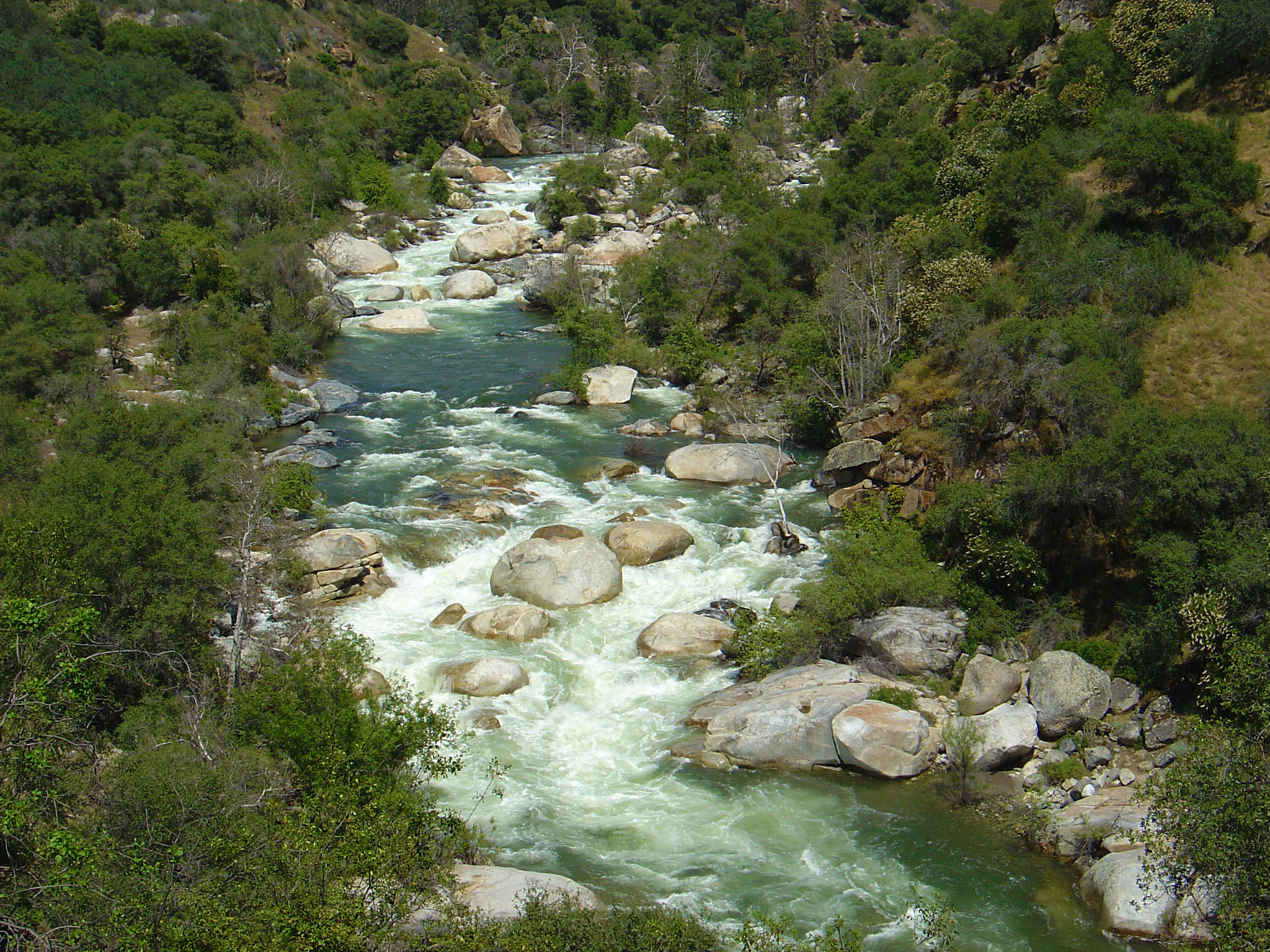Middle Fork Kaweah River in the Foothills. Water rushes through boulders surrounded by trees.