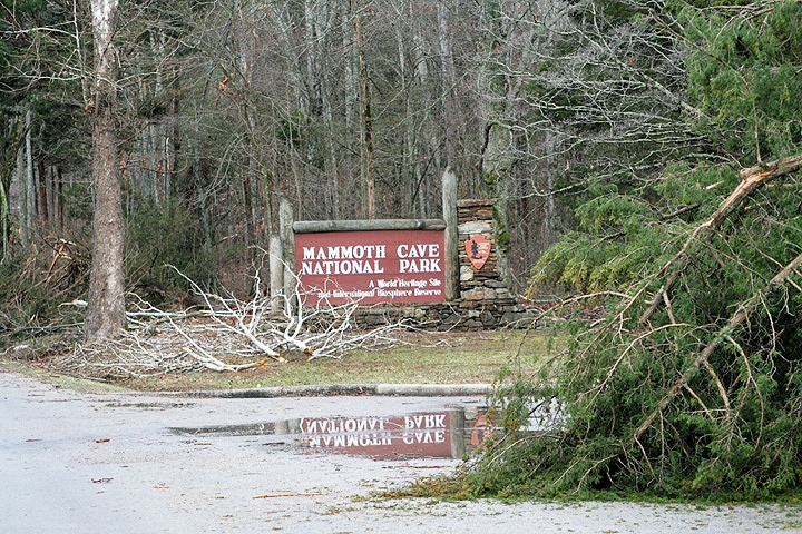 The Cave City entrance to Mammoth Cave National Park exhibits ice storm damage similar to that seen all over the park.