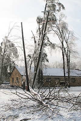 A fallen tree in the Headquarters area separates a power pole from its support pole after the ice storm.