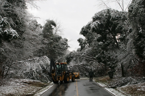 Trees and limbs felled by heavy loads of ice and snow block Green River Ferry Road North on the north side of Mammoth Cave National Park.