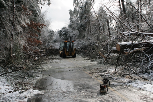 Trees and limbs felled by heavy loads of ice and snow block Green River Ferry Road North on the north side of Mammoth Cave National Park.
